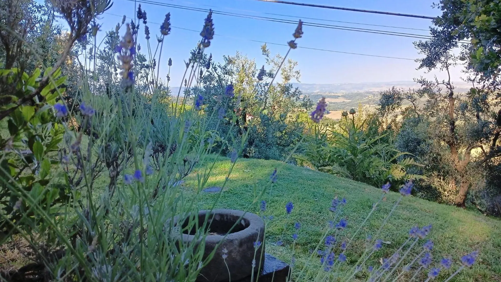 Podere Casato 2 Hills View, Pool, Wifi Tuscany Apartment Montespertoli